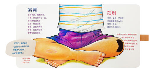 《小伤口，不害怕》（帮孩子应对常见外伤、增强安全意识）读小库0-3岁3-6岁 商品图4