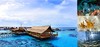 【度假村】马来西亚诗巴丹卡帕莱潜水度假套餐 商品缩略图1