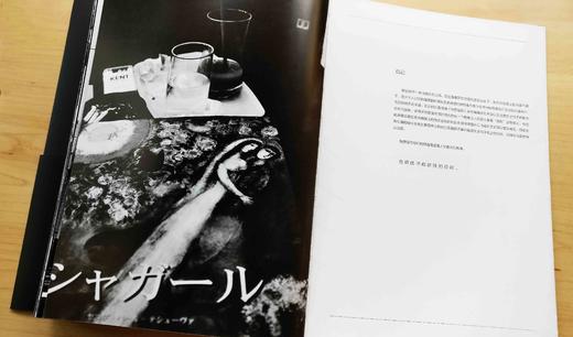 再•《挑衅》文广/中国摄影出版社 商品图2