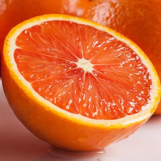 【七掌柜·中华红红橙】独特的红肉脐橙,酸甜多汁,江边的橙子更好吃