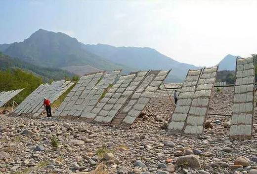 现货平阳五十丈粉干如若寄外地，请拍5斤礼盒装 商品图12