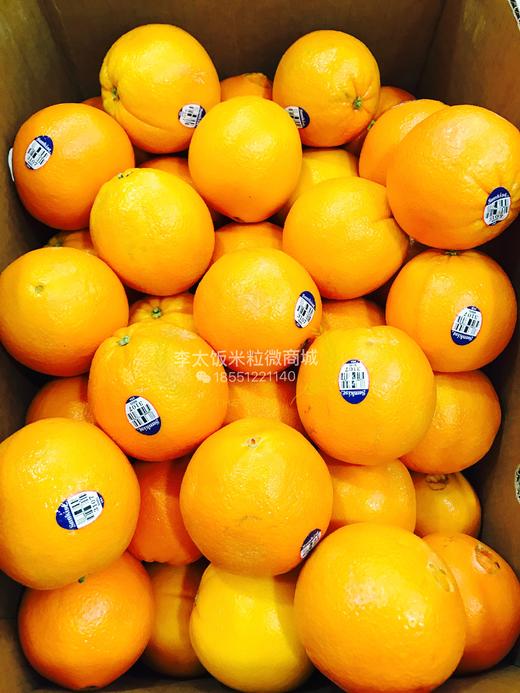 【进口】3107黑标甜橙8斤 商品图3