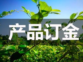 产品定金 *Product deposit