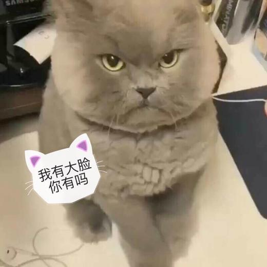 刘斌sku测试 商品图0