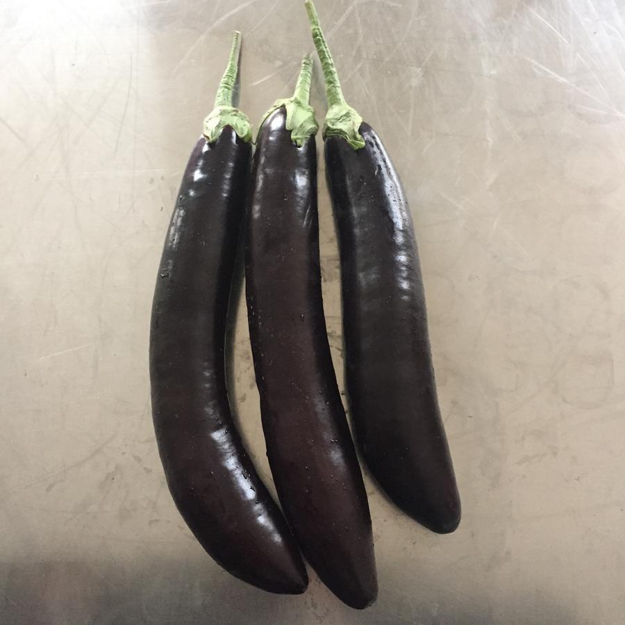 茄王(基地自产现摘)