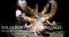 【度假村】印尼蓝碧潜水套餐 - Dabirahe 商品缩略图4
