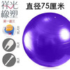 【运动装备】直径75cm瑜伽球 加厚防爆瑜伽球健身球 商品缩略图0