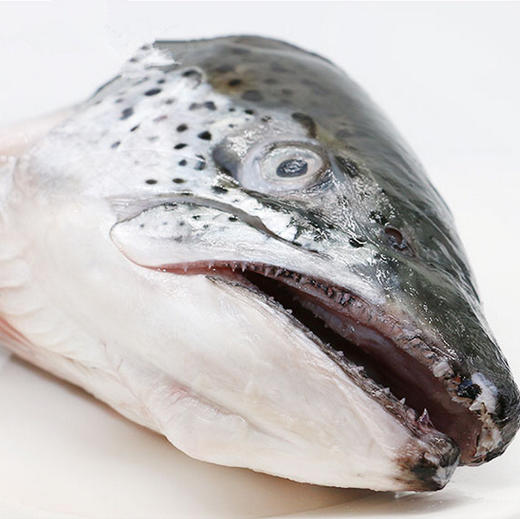 冷冻三文鱼头顺丰快递运费到付 商品图3