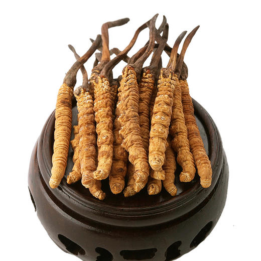 西藏野生特级冬虫夏草5克