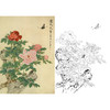 竖幅工笔花鸟白描底稿-牡丹-俞致贞《国色天香》-多种白描尺寸可选-HV02 商品缩略图0