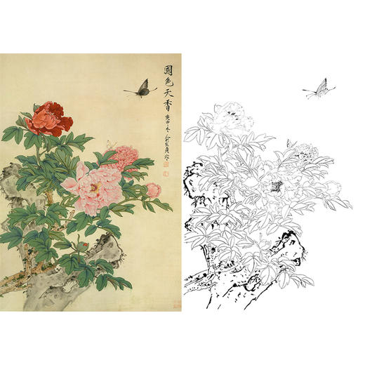 竖幅工笔花鸟白描底稿-牡丹-俞致贞《国色天香》-多种白描尺寸可选-HV02 商品图0