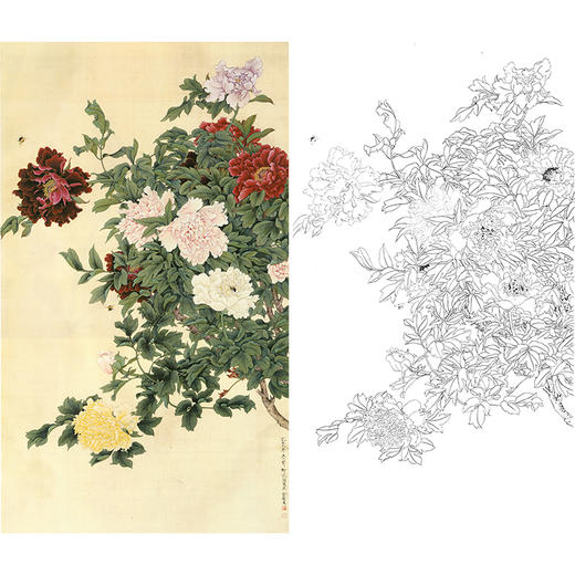 竖幅工笔花鸟白描底稿-俞致贞牡丹-HV01 商品图0