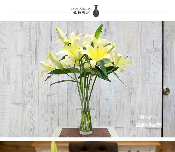 年宵花 胡须先生月送4次百合郁金香红豆火龙珠跳舞兰套餐一