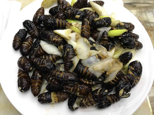 【凤酒飘香】炒蛹(时令价为准) 商品图0