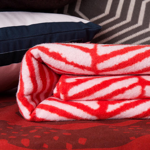 【买两套床品赠一条毛毯】【哇物】wowu Salmon 鲑鱼毯 双面设计 北欧风格毯子 商品图2