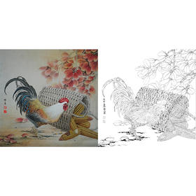 工笔动物白描底稿-孙锡之-玉米公鸡-斗方小品册页-A551