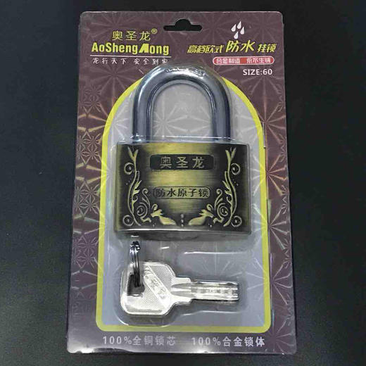 〖B027〗奥圣龙防水原子锁60 商品图1