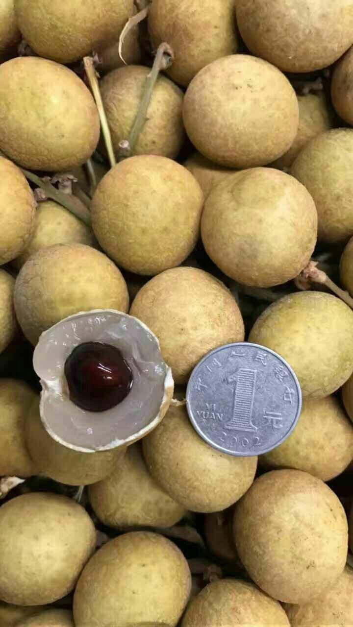 金果源泰国龙眼礼盒(重庆直邮,市场价95元)