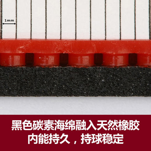 XIOM骄猛 VEGA PRO 唯佳  银V  79-012 碳素黑海绵 德系内能 反胶套胶 国球汇 商品图2