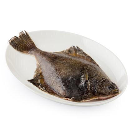 加拿大野生碟鱼(产地加拿大)