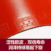 XIOM骄猛 VEGA PRO 唯佳  银V  79-012 碳素黑海绵 德系内能 反胶套胶 国球汇 商品缩略图1