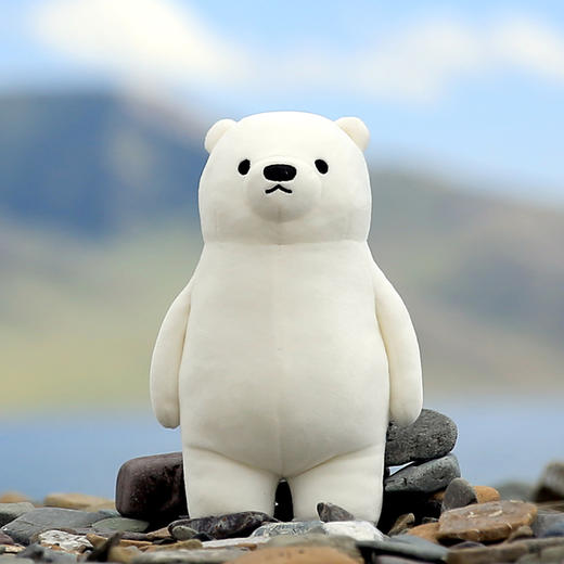 多多堡 QQfamily毛绒玩具 Dov多福标准版公仔 商品图0