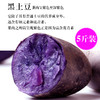 【生态食品】新鲜黑土豆 紫土豆 5斤 商品缩略图0