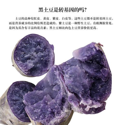 【生态食品】新鲜黑土豆 紫土豆 5斤 商品图1