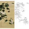 竖幅工笔花鸟白描底稿-俞致贞-芙蓉花蝴蝶《芙蓉蛱蝶》-多种白描尺寸可选-JV08 商品缩略图0