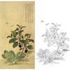 竖幅工笔花鸟白描底稿-蔬菜茄子-俞致贞《茄菜图》-多种白描尺寸可选-JV06 商品缩略图0