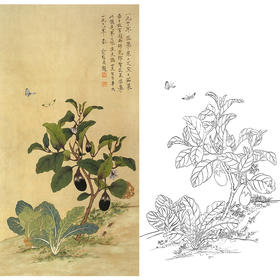 竖幅工笔花鸟白描底稿-蔬菜茄子-俞致贞《茄菜图》-多种白描尺寸可选-JV06