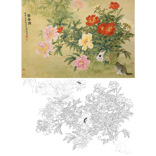横幅工笔花鸟猫咪白描底稿-俞致贞《留春图》-多种白描尺寸可选-JV02 商品图0