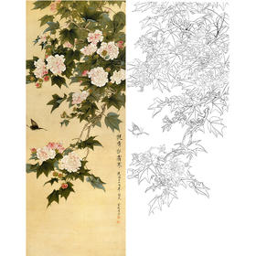 竖幅工笔花鸟白描底稿-芙蓉花-俞致贞《挺秀拒霜寒》-多种白描尺寸可选-JV07