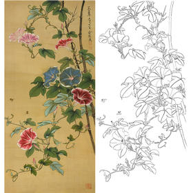竖幅工笔花鸟白描底稿-俞致贞牵牛花-JV10
