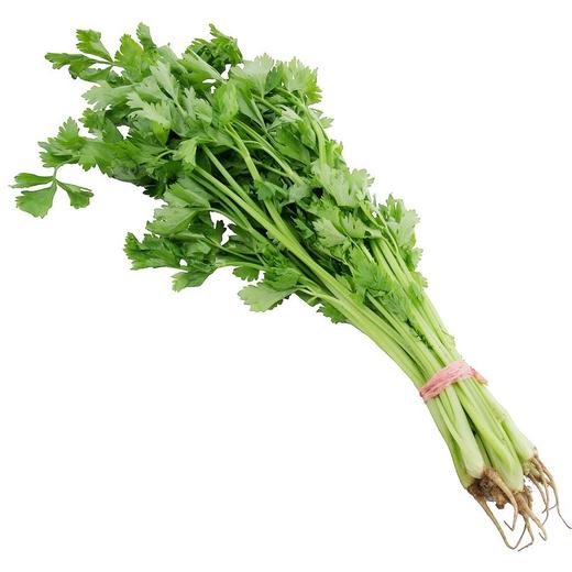 芹菜南方传媒农业科普基地不发省外