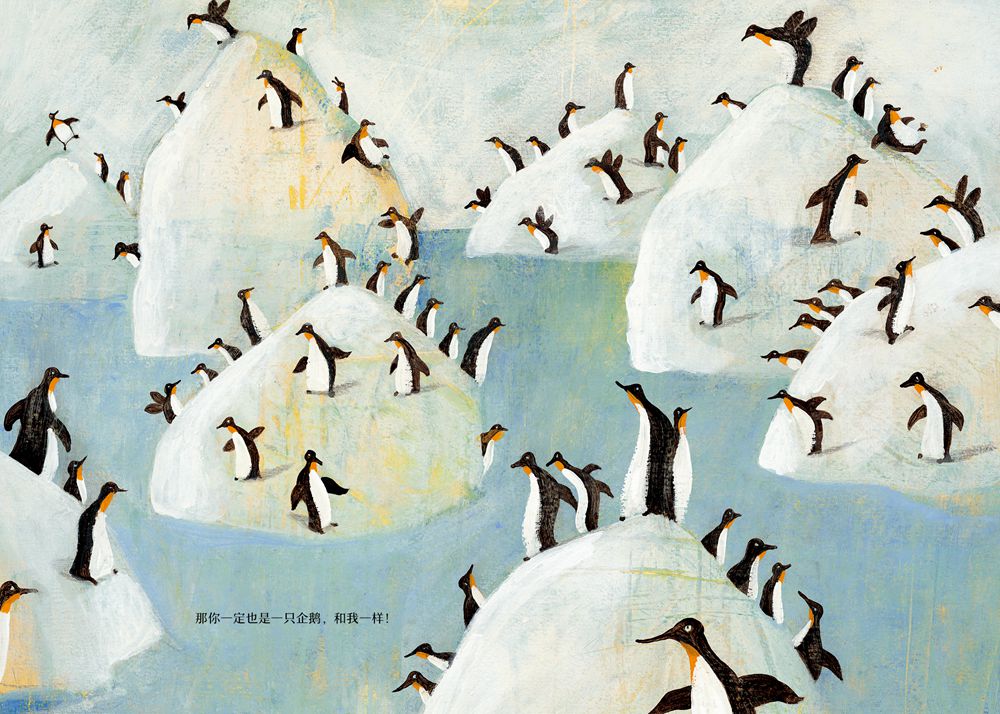 魔法象企鹅比斯在哪里安徒生大奖薛蓝约纳科维奇28岁