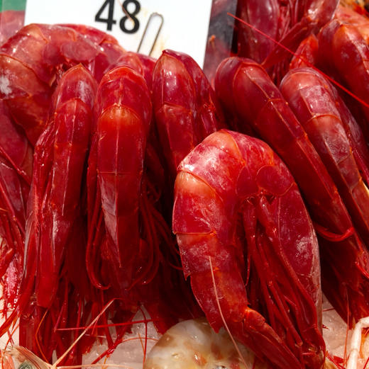 红魔虾运费顺丰到付 商品图1