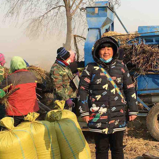 【25年新米】纯正五常民乐稻花香大米，不抛光，保留更多营养 商品图3