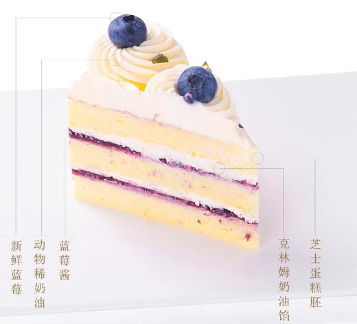 小樽蓝莓奶油蛋糕 商品图5