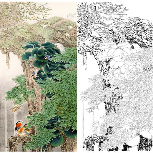 竖幅工笔花鸟白描底稿-鸳鸯-周彦生《粤海春早》-多种白描尺寸可选-QN02 商品图0