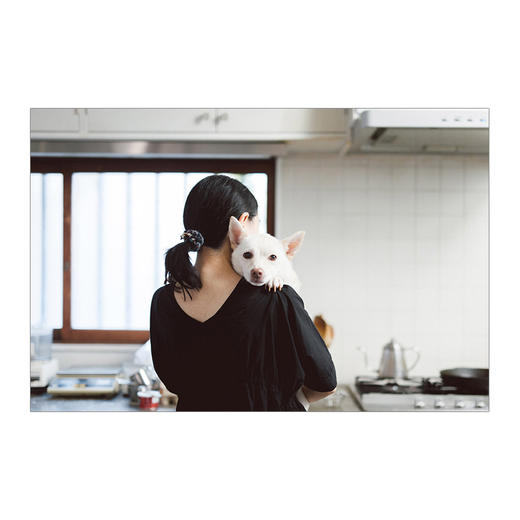 【特惠】猫山狗海，穿越人间  精选25个猫狗与人的故事画集 商品图3