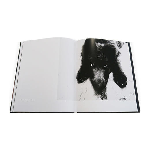 包邮 张子康-疆域 张子康 著 所思所感尽在镜头之中 商品图4