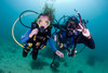 【度假村】杜马盖地Atlantis Dive Resort Dumaguete潜水套餐 商品缩略图2