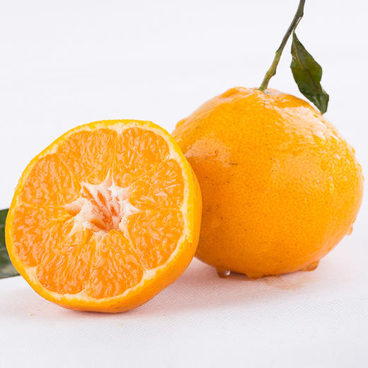 【春见耙耙柑】春见耙耙柑 四川眉山耙耙柑 现摘现发 手剥柑橘 丑柑 商品图2