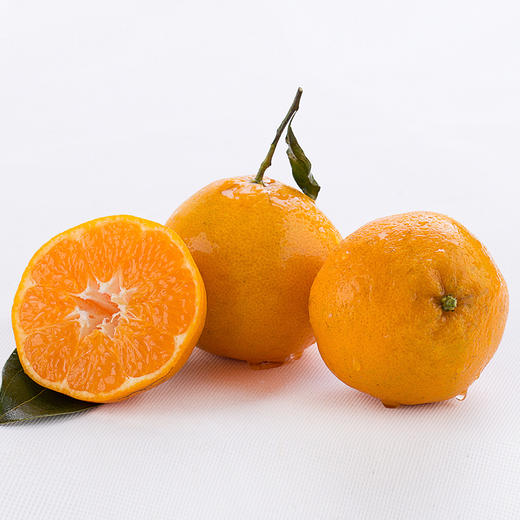 【春见耙耙柑】春见耙耙柑 四川眉山耙耙柑 现摘现发 手剥柑橘 丑柑 商品图6