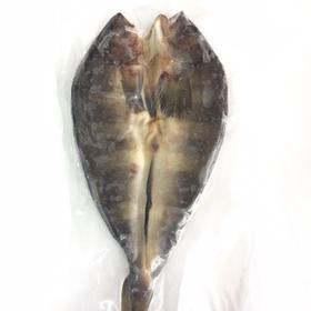 日式料理烧烤海鲜鱼干开片鱼流线鱼干M号