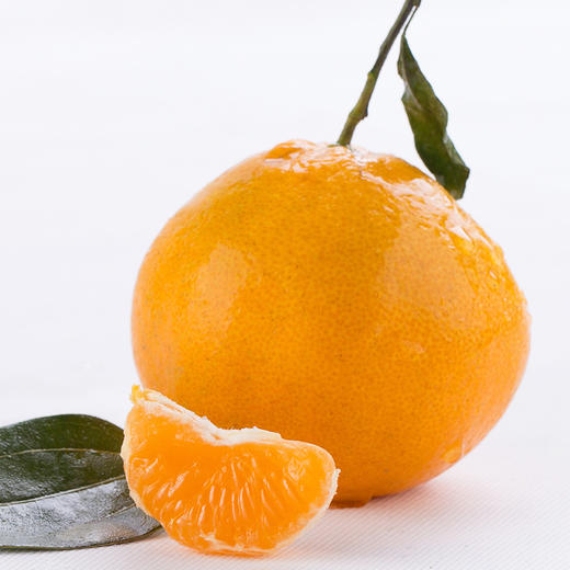 【春见耙耙柑】春见耙耙柑 四川眉山耙耙柑 现摘现发 手剥柑橘 丑柑 商品图9