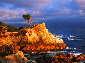 美国致敬圆石滩3晚4天3球挥杆及品酒之旅