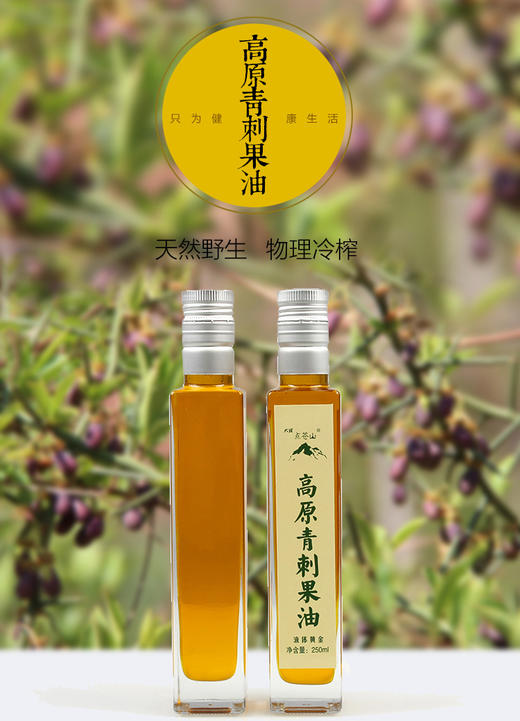 大理苍山青刺果油