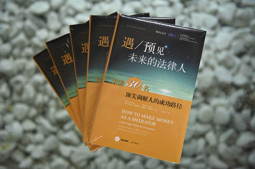 重磅新书丨 遇/预见未来的法律人——美国30名顶尖调解人的成功路径 商品图3